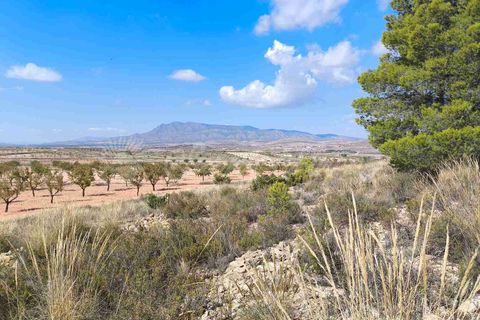 Helårsgrund i Jumilla, Murcia, Jumilla - € 29.900 | Ref: SF0544 - foto 2